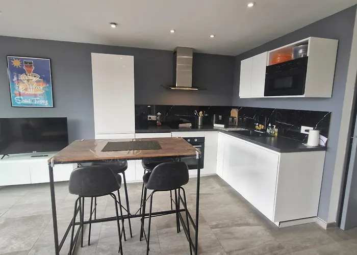 Apartment Climatise 2 Pieces Avec Vue Mer, Centre-ville Sainte-maxime, Animaux Acceptes - Fr-1-780-26 Sainte-Maxime